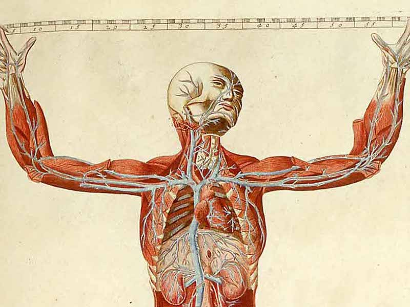 Membranas y Transporte Químico
