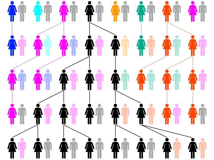 Tracking Human Ancestry