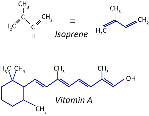 Figure 17: Isoprene units contain branching five-carbon chains. Animals are able to break down these molecules into vitamin A.