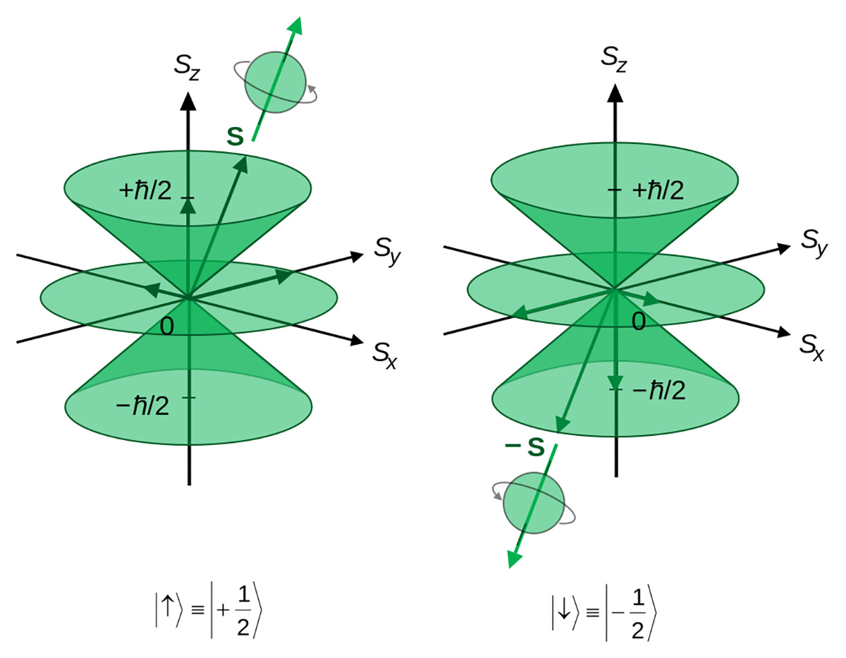 Figure 5: A model of the fourth quantum number, spin (s).  Shown here are models for particles with spin (s) of ½, or half angular momentum.