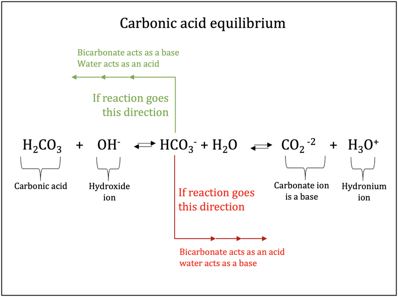 Figure 3: Carbonic Acid Equilibrium
