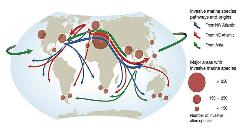 Figure 4: Major pathways of invasive species in the marine environment.