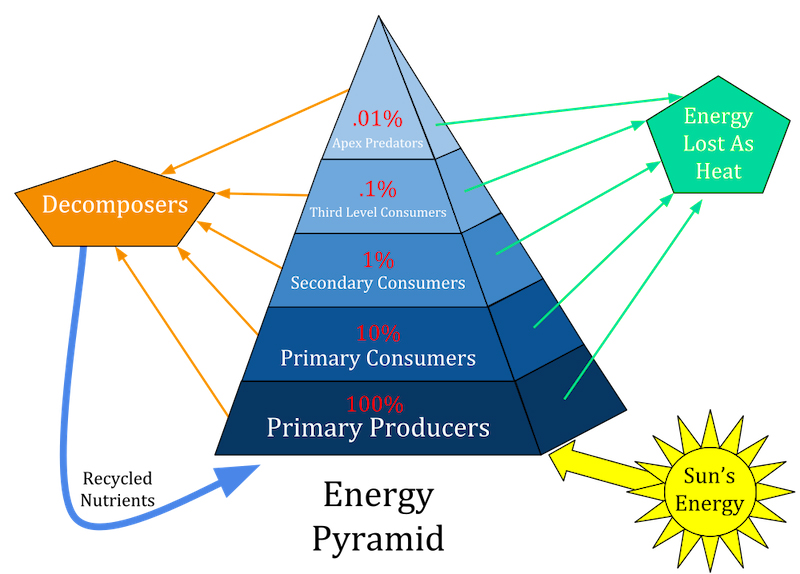 Figure 3: Energy pyramid.