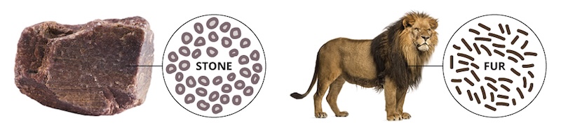 Figure 3: A graphic representing Democritus' idea that atoms were unique to the material that they made up.